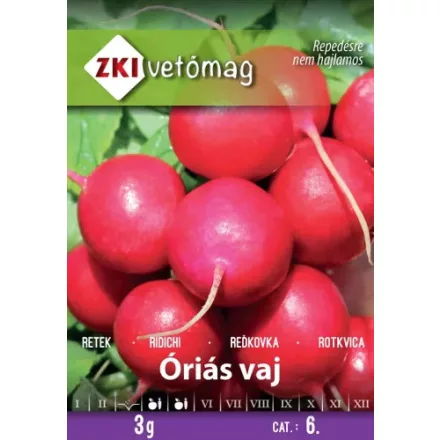 Óriás vaj retek vetőmag, 3 g