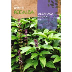 Szent bazsalikom vetőmag, 1 g