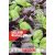 Basilikum mischung bio dinamikus bazsalikom vetőmag, zöld/piros