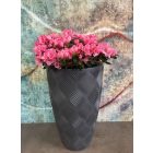 Flow-slim kaspó, 51 liter, antracit