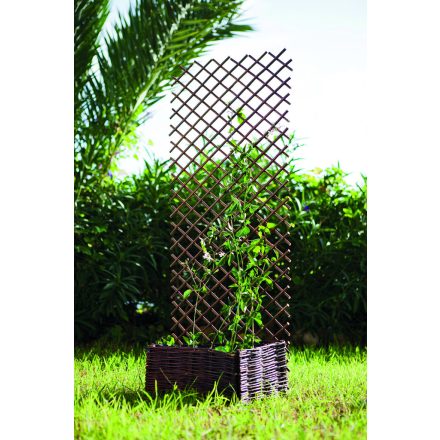 Trelliwillow kihúzható fűzfa apácarács, 0,5 x 1,5 m 