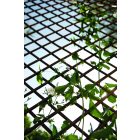 Trelliwillow kihúzható fűzfa apácarács, 0,5 x 1,5 m 