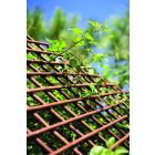 Trelliwillow kihúzható fűzfa apácarács, 0,5 x 1,5 m 