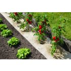 Chanvrelin 500 természetes talajtakaró, 0,5 x 3 m