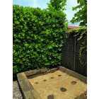 Chanvrelin 500 természetes talajtakaró, 0,5 x 3 m