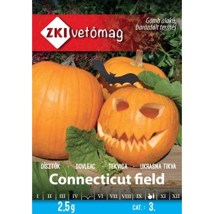 Connecticut Field dísztök vetőmag, 2,5 g