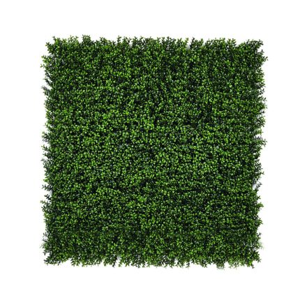 Nort Vertical Buxus zöldfal buxus levelekkel, 1 m x 1 m, zöld 