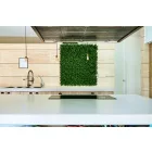 Vertical Buxus zöldfal buxus levelekkel, 1 m x 1 m, zöld 