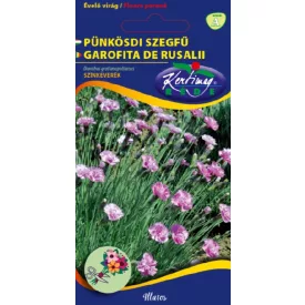 Pünkösdi szegfű vetőmag, színkeverék, 0,25 g