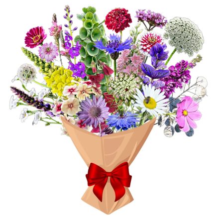 Bokréta vetőmag, 5 g, Vadvirágom sorozat