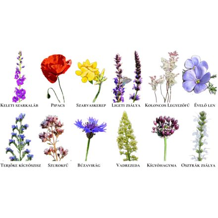 Vadvirágos üdvözlet képeslap, Vadvirágom sorozat