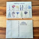 Vadvirágos üdvözlet képeslap, Vadvirágom sorozat