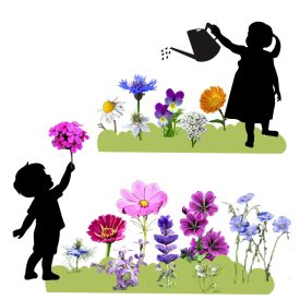   Kertész leszek -magkeverék gyerekeknek, 1 g, Vadvirágom sorozat