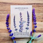 Ligeti zsálya vetőmag, 1 g, Vadvirágom sorozat