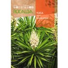 Yukka /Pálmaliliom/ vetőmag  