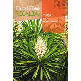 Yukka /Pálmaliliom/ vetőmag  