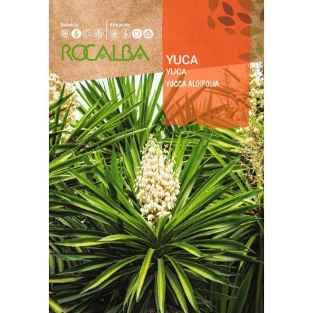 Yukka /Pálmaliliom/ vetőmag  
