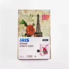 Iris IBSC18 kóddal nyitható könyv széf 180x115x55mm 