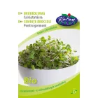 Brokkoli bio csíramag,  20 g