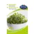 Brokkoli bio csíramag,  20 g