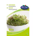 Zsázsa bio csíramag csíráztatásra, 60 g 