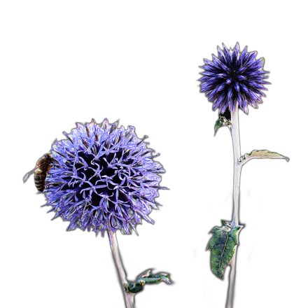 Kék szamárkenyér vetőmag, 0,5 g, Vadvirágom sorozat