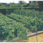 Trellinet PP (U-170/10) uborkaháló BOP71/10C