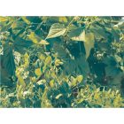 Trellinet PP (U-170/10) uborkaháló BOP71/10C