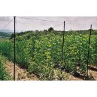 Trellinet PP (U-170/10) uborkaháló BOP71/10C