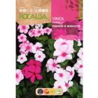 Rózsa meténg (Vinca) vetőmag, 0,5 g