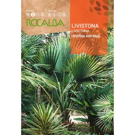 Ausztráliai legyező pálma vetőmag