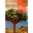 Drago pálma, Sárkányfa vetőmag