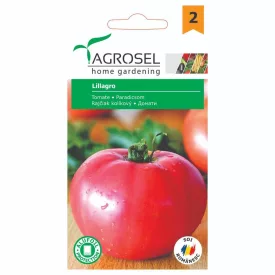 Lillagro paradicsom vetőmag