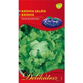 Batavia saláta vetőmag, 2 g