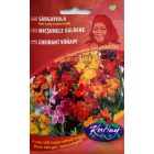 Fair Lady sárgaviola vetőmag, színkeverék