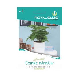 Csipke páfrány vetőmag