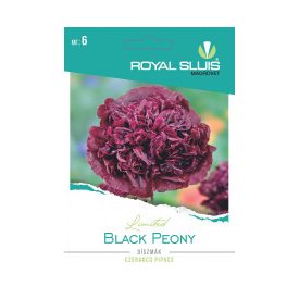 Black Peony díszmák vetőmag