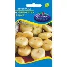 Borettana grillhagyma vetőmag, 2 g