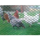 Avimesh BN-90 műanyag baromfirács, 0.9 (15x15), zöld