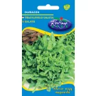 Dubacek tölgylevelű saláta vetőmag, 1 g