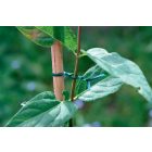 AP-FIX erősített műanyag kötöző, 2 mm x 25 m