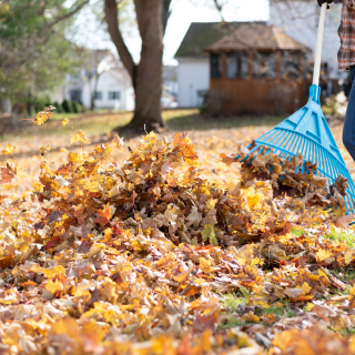 Az ősz a kertész egyik legfontosabb hónapja
